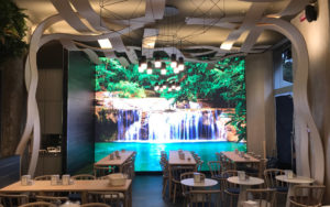 Nui Jungle Cafè Milano